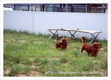 345_qpfm52.jpg?type=w2