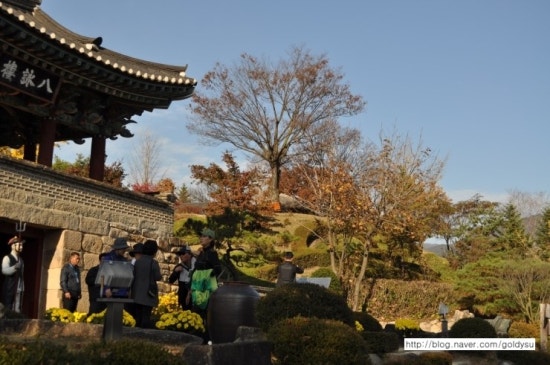 DSC_0336.JPG?type=w3