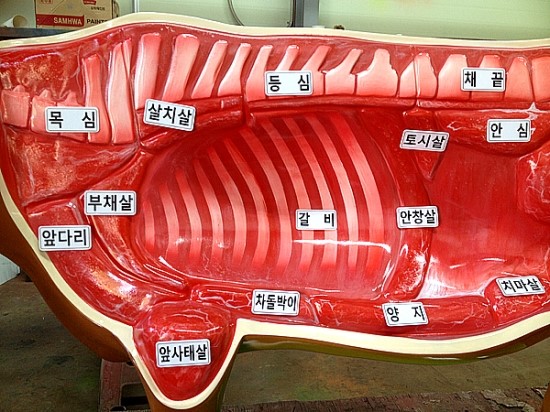 고기정복 이미지