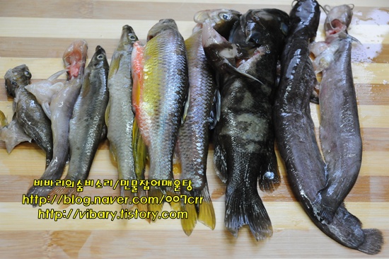 구경메기매운탕 이미지