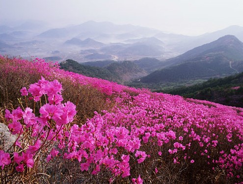 (주)산에들에 이미지
