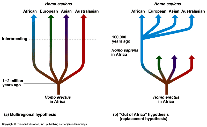 Multiregional continuity hypothesis image
