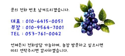 체리빠 이미지