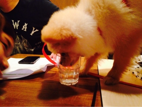 NaverBlog_20140513_221618_28.jpg?type=w3