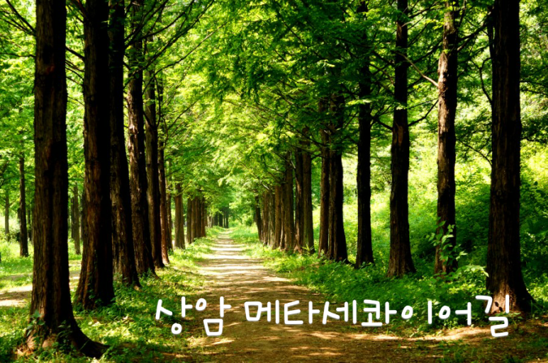소월길주유소 이미지