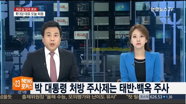 연합뉴스TV 성유미 아나운서 뉴스포커스 (2016년 11월 17일) : 네이버 블로그