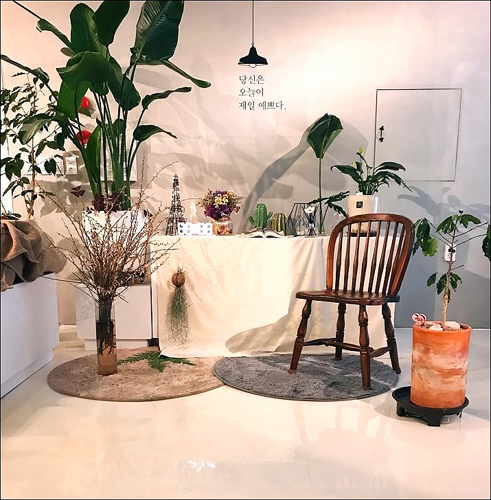카페갤러리줌 이미지