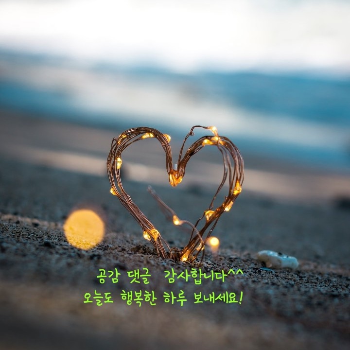 한영카써비스 이미지